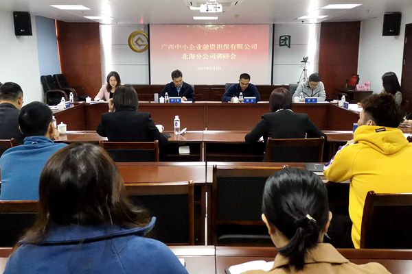 中小擔(dān)保領(lǐng)導(dǎo)赴北海、防城港調(diào)研 