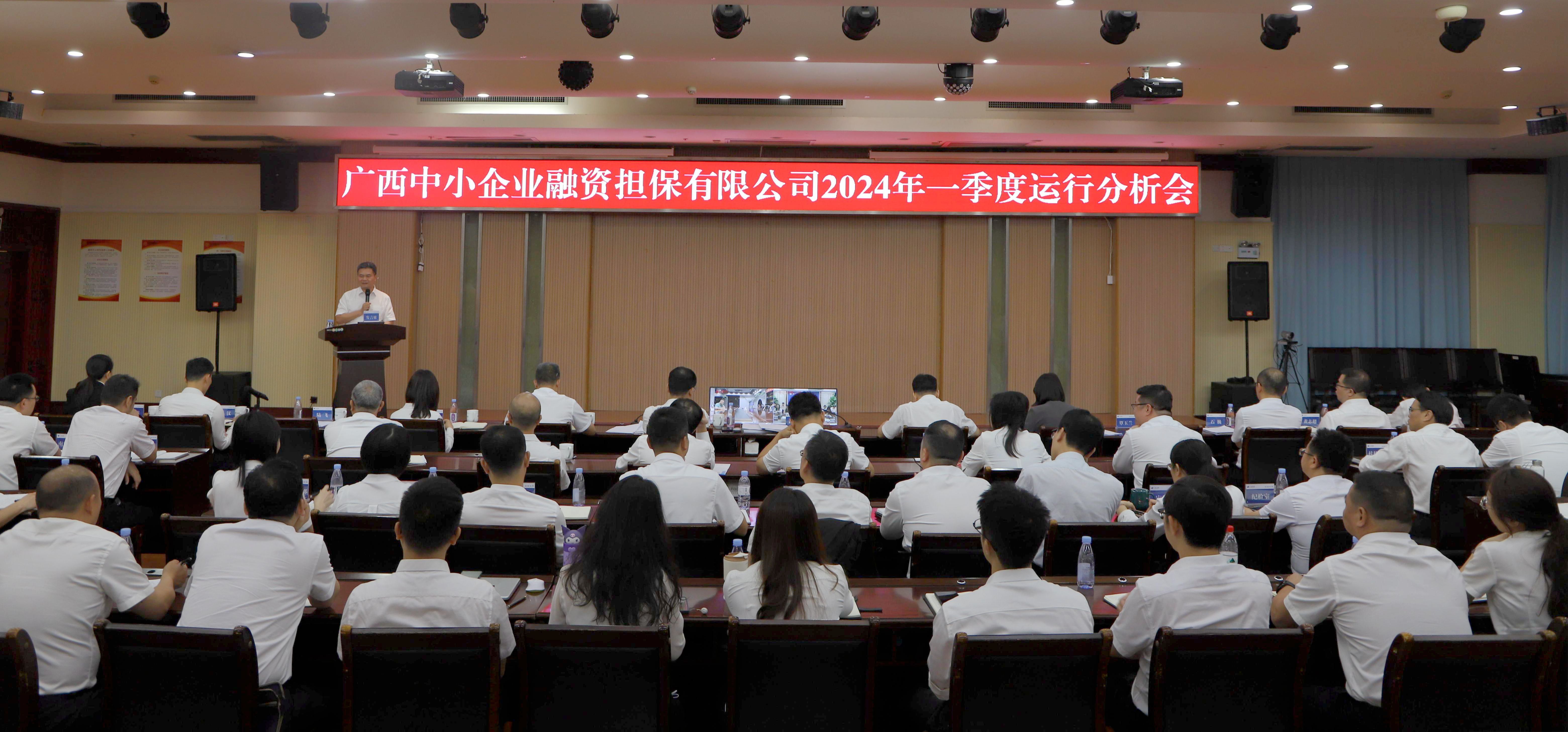 【落實(shí)落細(xì)落地，全力攻堅(jiān)“雙過(guò)半”】中小擔(dān)保召開(kāi)2024年一季度運(yùn)行分析會(huì)